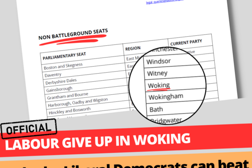 Labour give up on Woking 